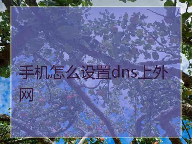 手机怎么设置dns上外网