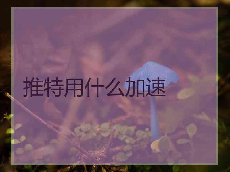 推特用什么加速