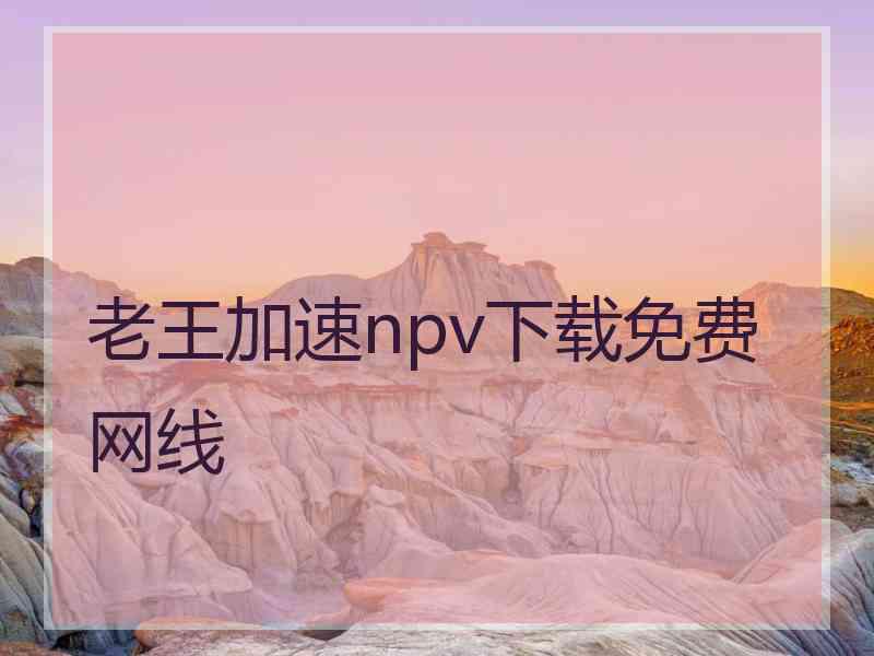 老王加速npv下载免费网线