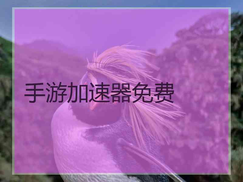 手游加速器免费