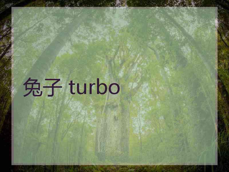 兔子 turbo