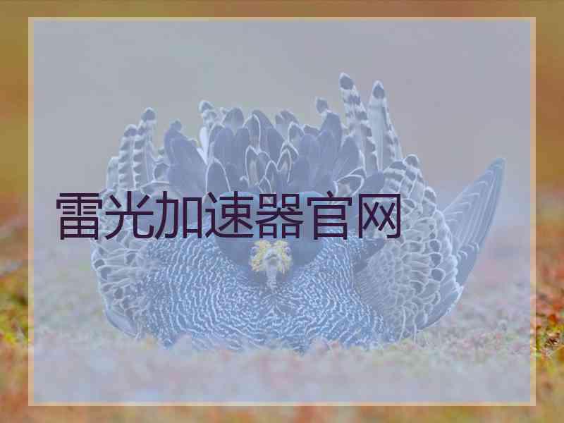 雷光加速器官网