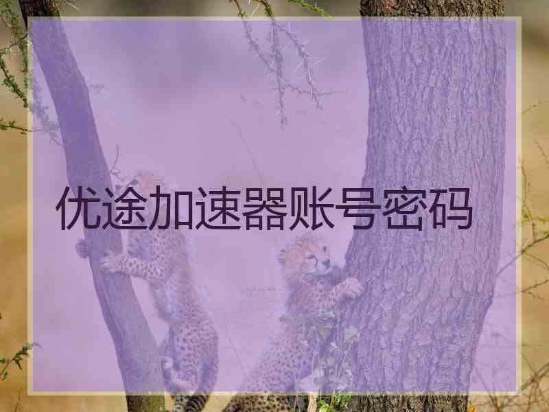 优途加速器账号密码