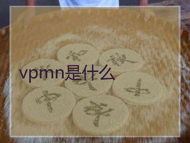 vpmn是什么