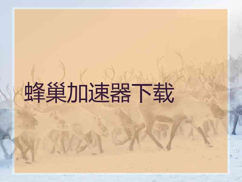 蜂巢加速器下载