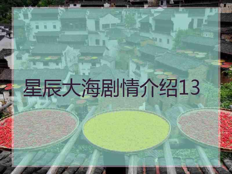 星辰大海剧情介绍13