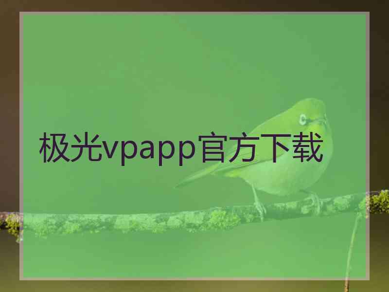 极光vpapp官方下载