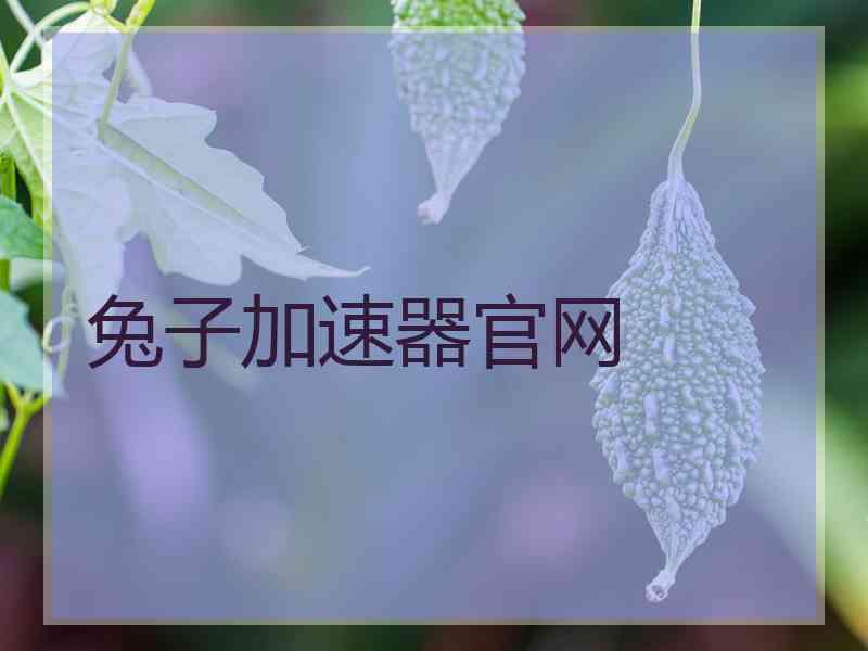 兔子加速器官网