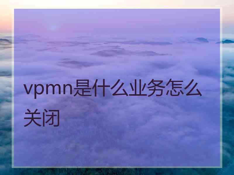 vpmn是什么业务怎么关闭