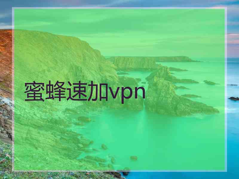 蜜蜂速加vpn
