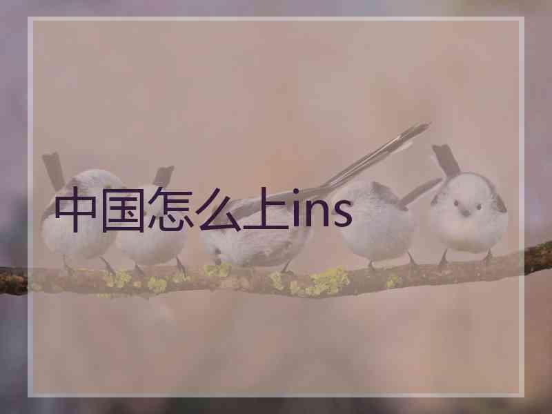 中国怎么上ins
