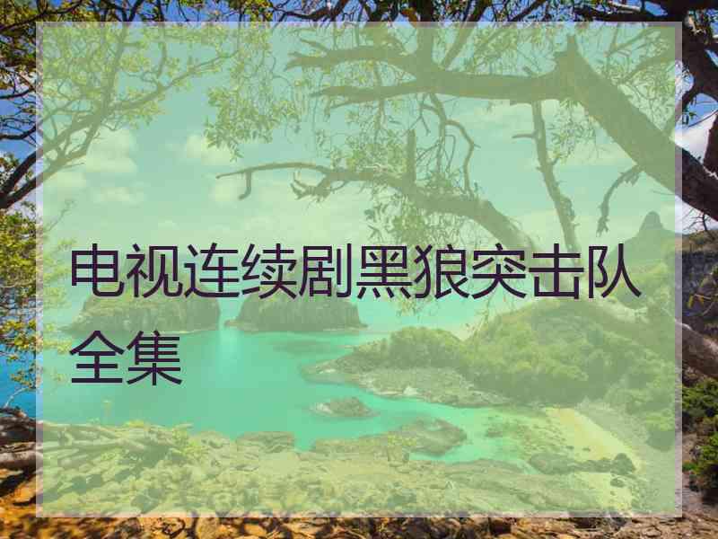 电视连续剧黑狼突击队全集