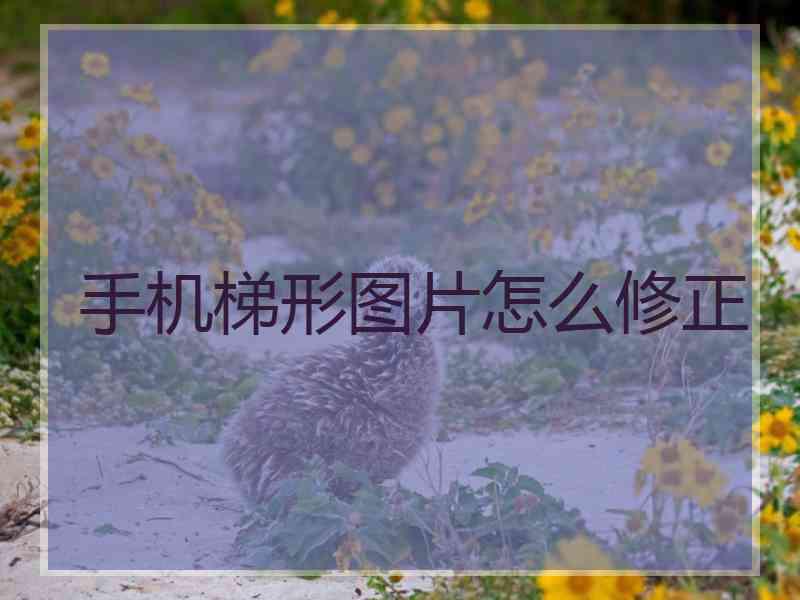 手机梯形图片怎么修正
