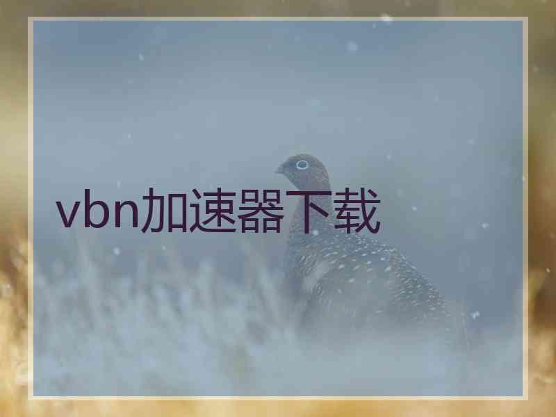 vbn加速器下载