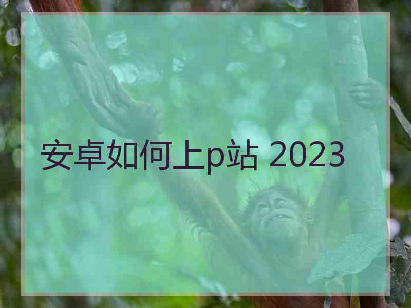 安卓如何上p站 2023