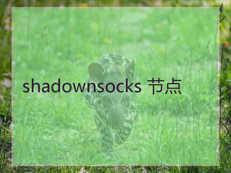 shadownsocks 节点