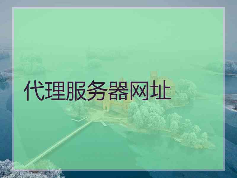 代理服务器网址