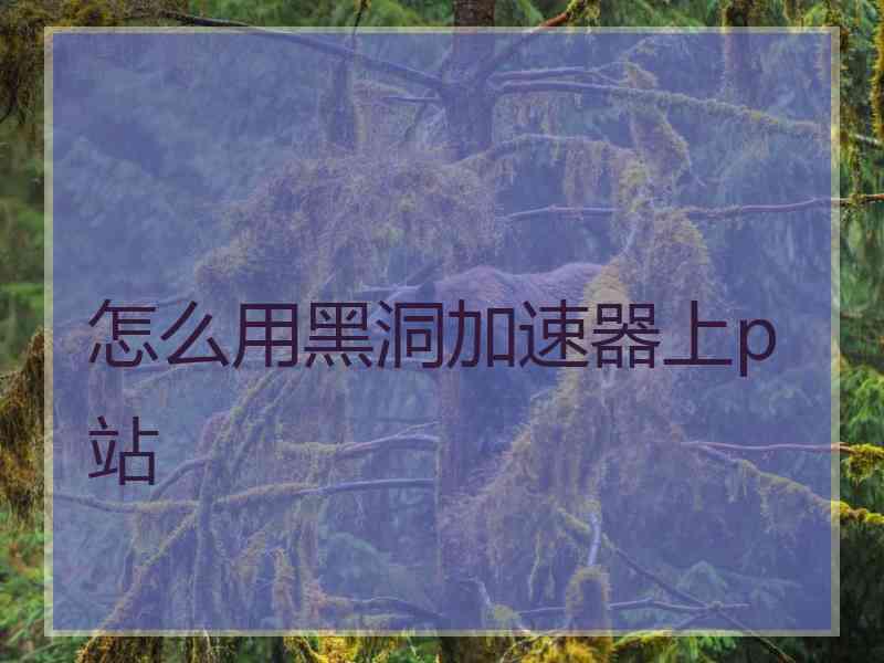 怎么用黑洞加速器上p站