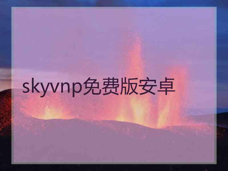 skyvnp免费版安卓