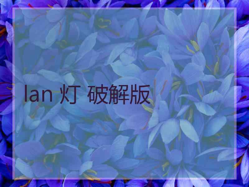 lan 灯 破解版