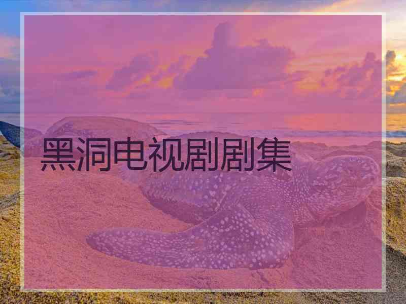 黑洞电视剧剧集