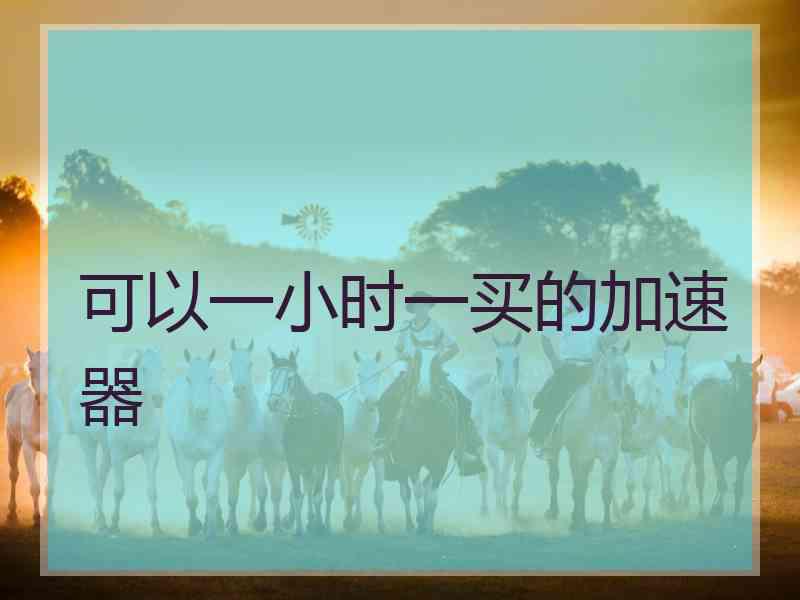 可以一小时一买的加速器