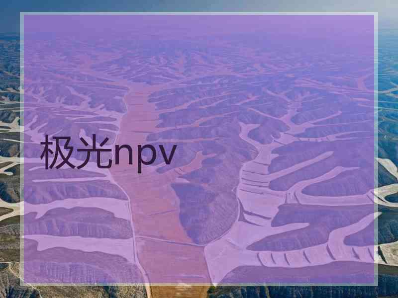 极光npv