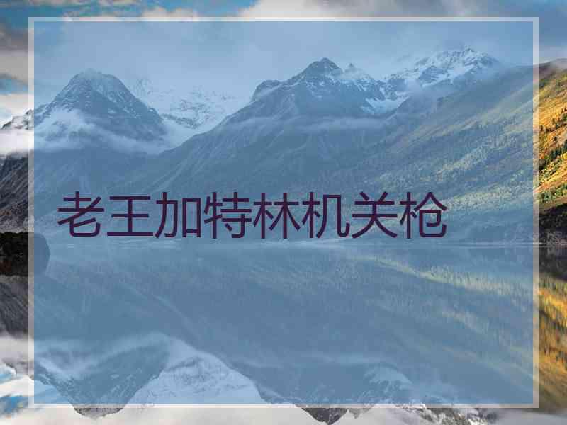 老王加特林机关枪