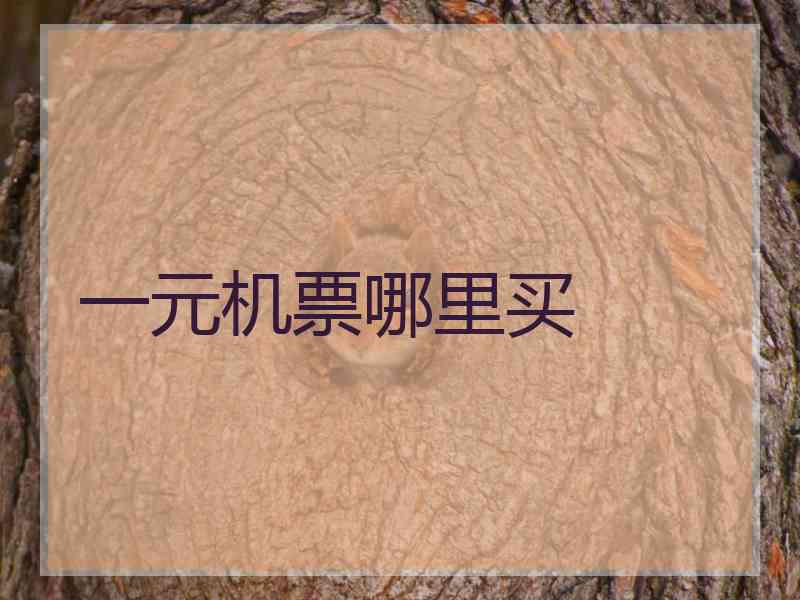 一元机票哪里买