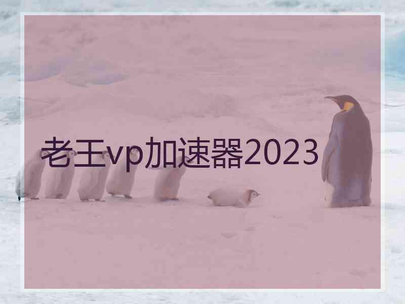 老王vp加速器2023