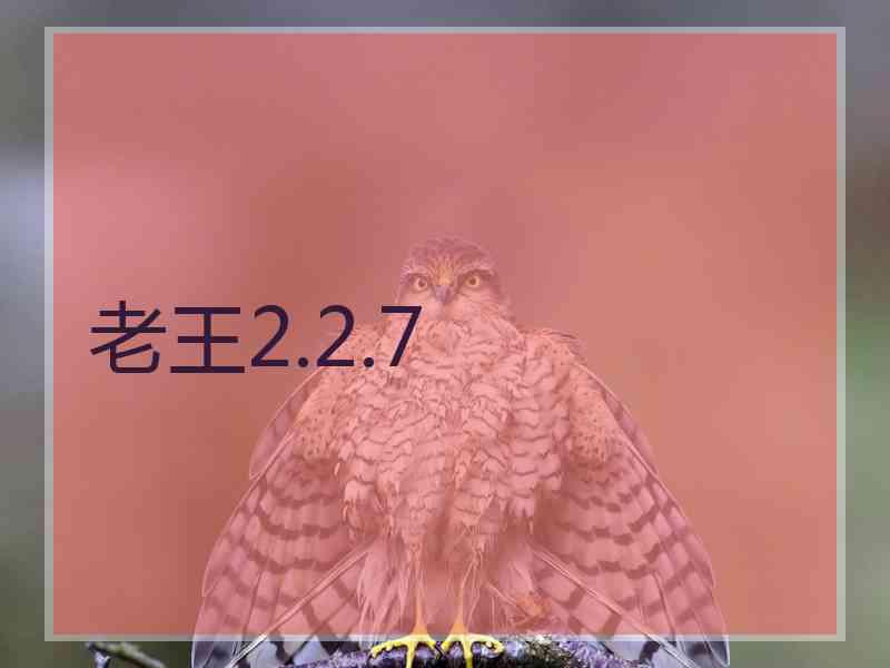 老王2.2.7