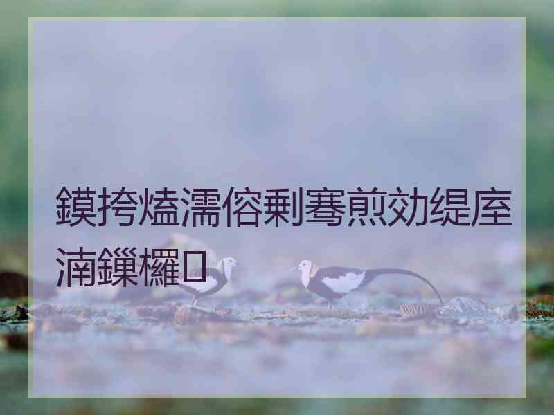 鏌挎熆濡傛剰骞煎効缇庢湳鏁欏