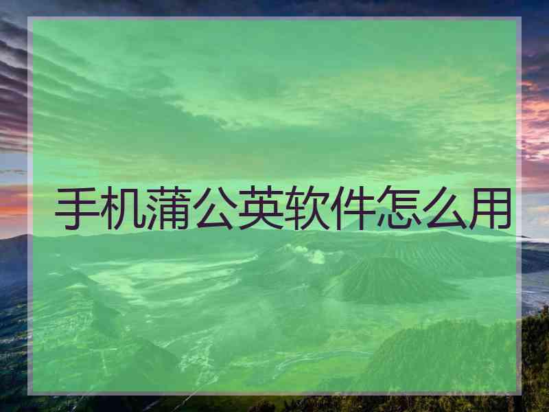 手机蒲公英软件怎么用