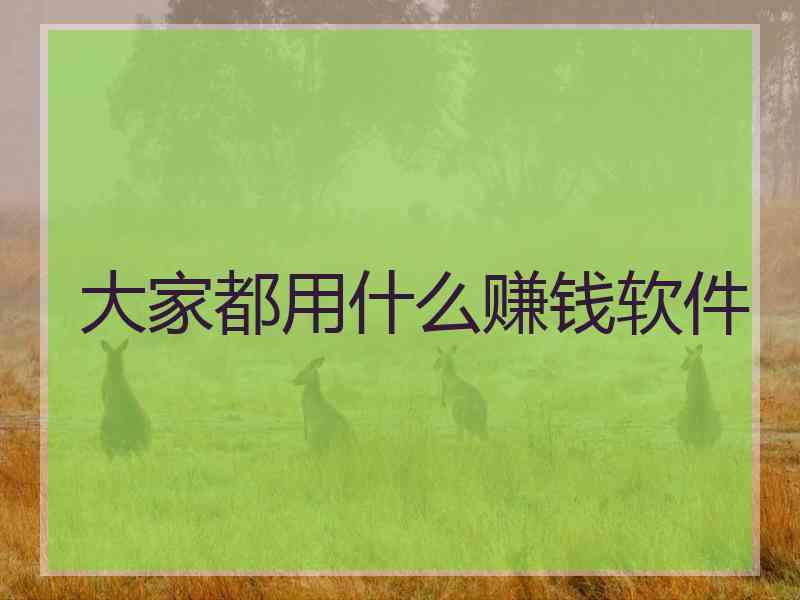 大家都用什么赚钱软件
