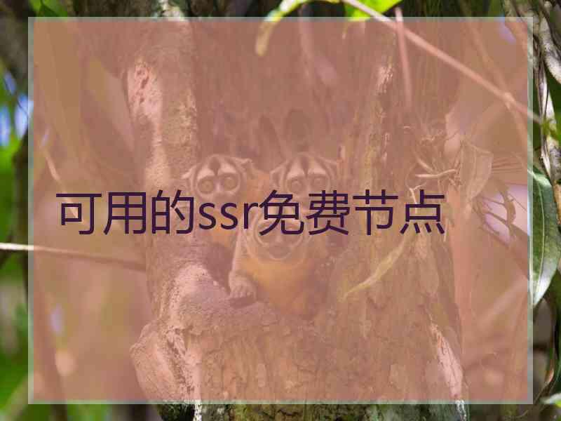 可用的ssr免费节点