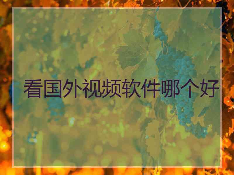 看国外视频软件哪个好