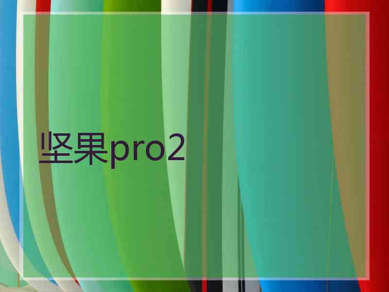 坚果pro2