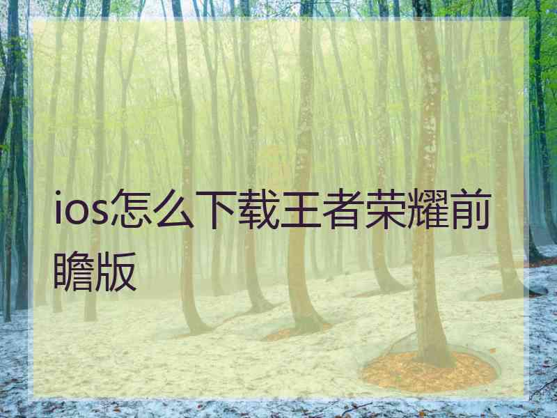 ios怎么下载王者荣耀前瞻版