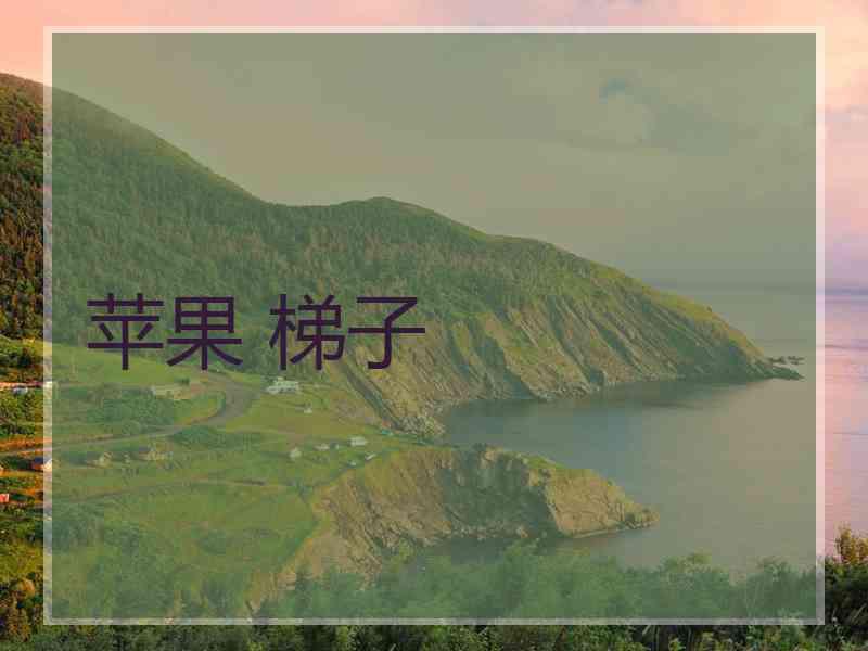 苹果 梯子