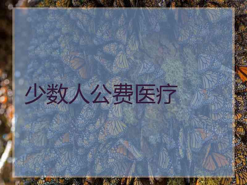 少数人公费医疗