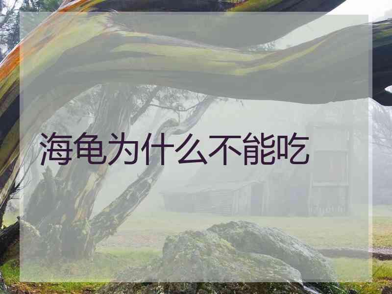 海龟为什么不能吃