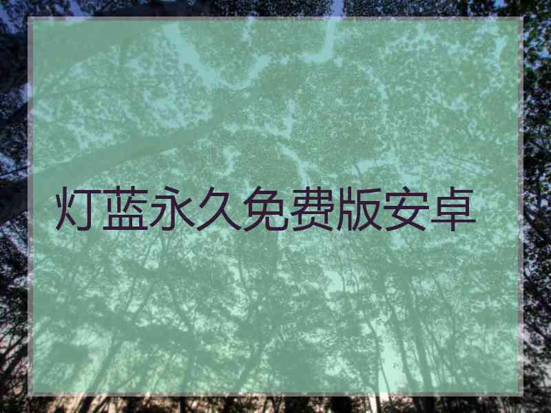 灯蓝永久免费版安卓