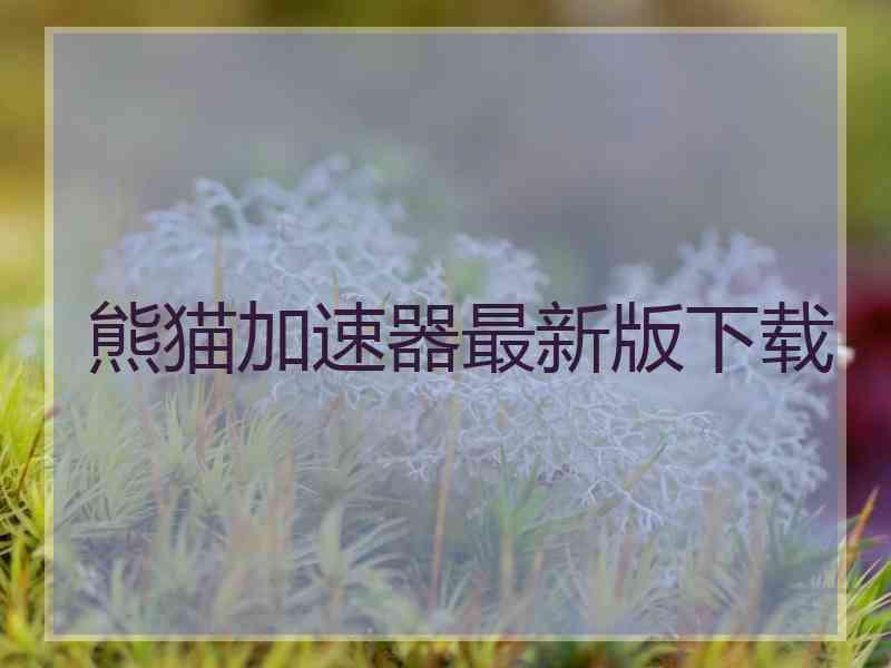 熊猫加速器最新版下载