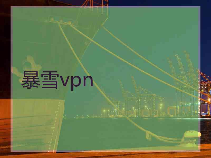 暴雪vpn