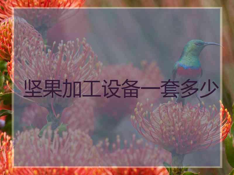 坚果加工设备一套多少