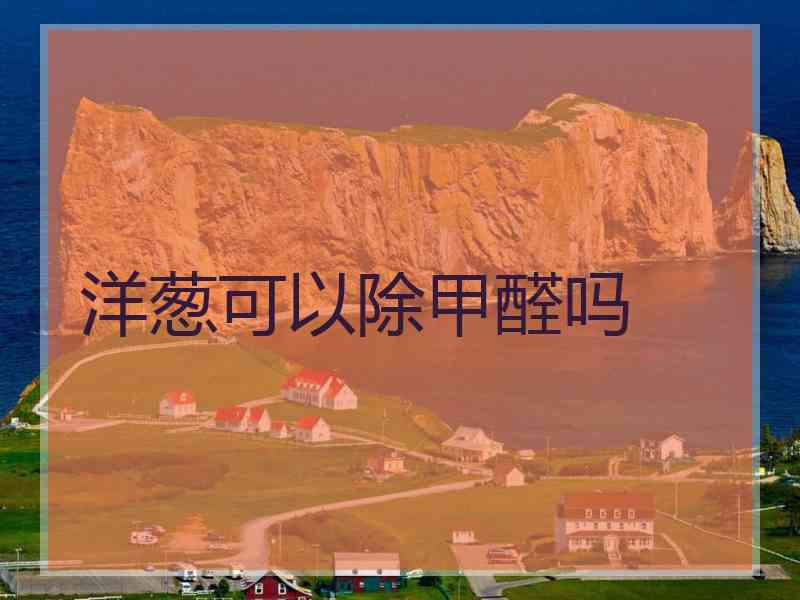 洋葱可以除甲醛吗
