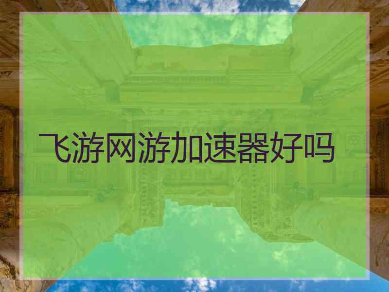 飞游网游加速器好吗