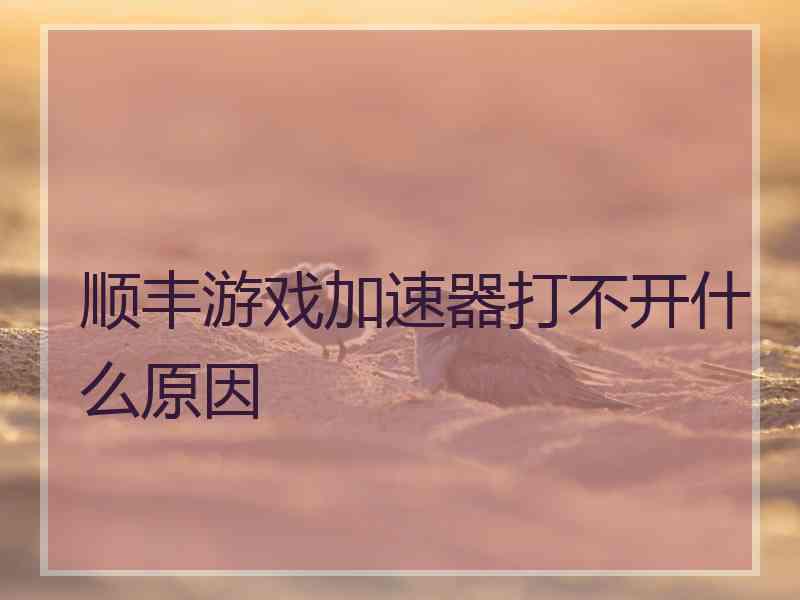 顺丰游戏加速器打不开什么原因