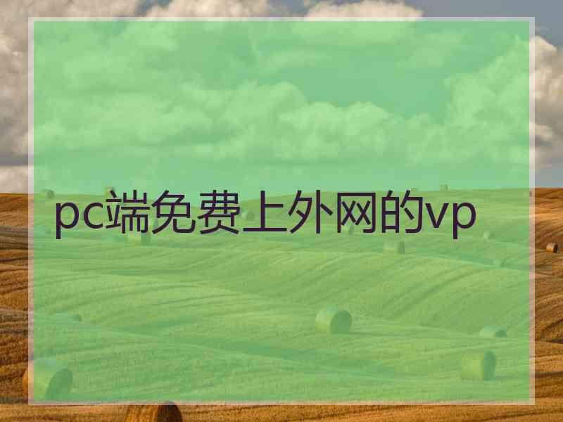 pc端免费上外网的vp