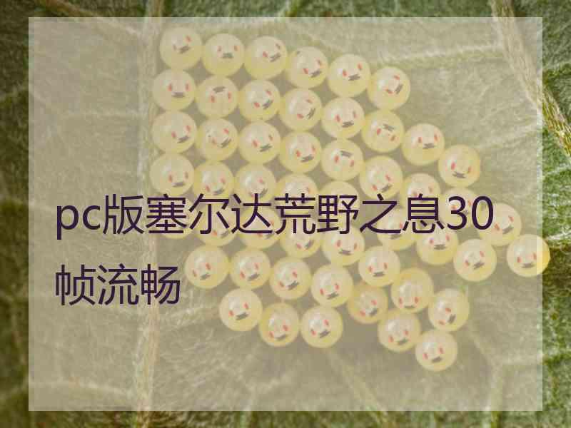 pc版塞尔达荒野之息30帧流畅